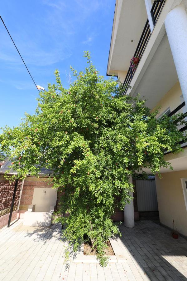 Rozalin Guest House Gudauta Esterno foto
